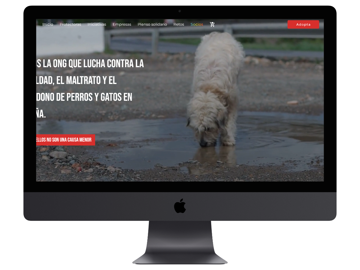 Proyecto realizado para Save One Animal.